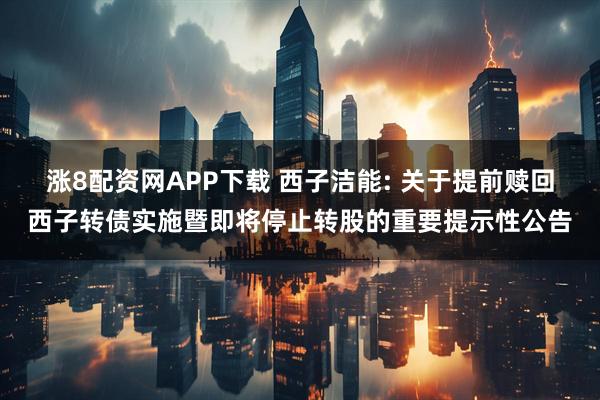 涨8配资网APP下载 西子洁能: 关于提前赎回西子转债实施暨即将停止转股的重要提示性公告